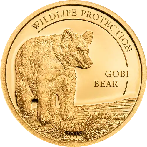 Golden Gobi Bear