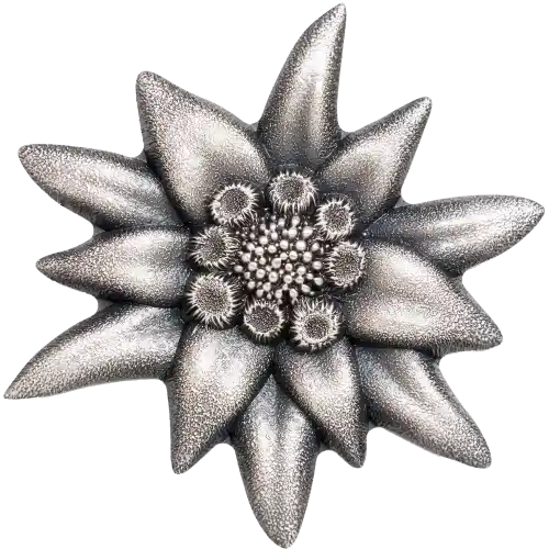 Edelweiss - Mountain Star