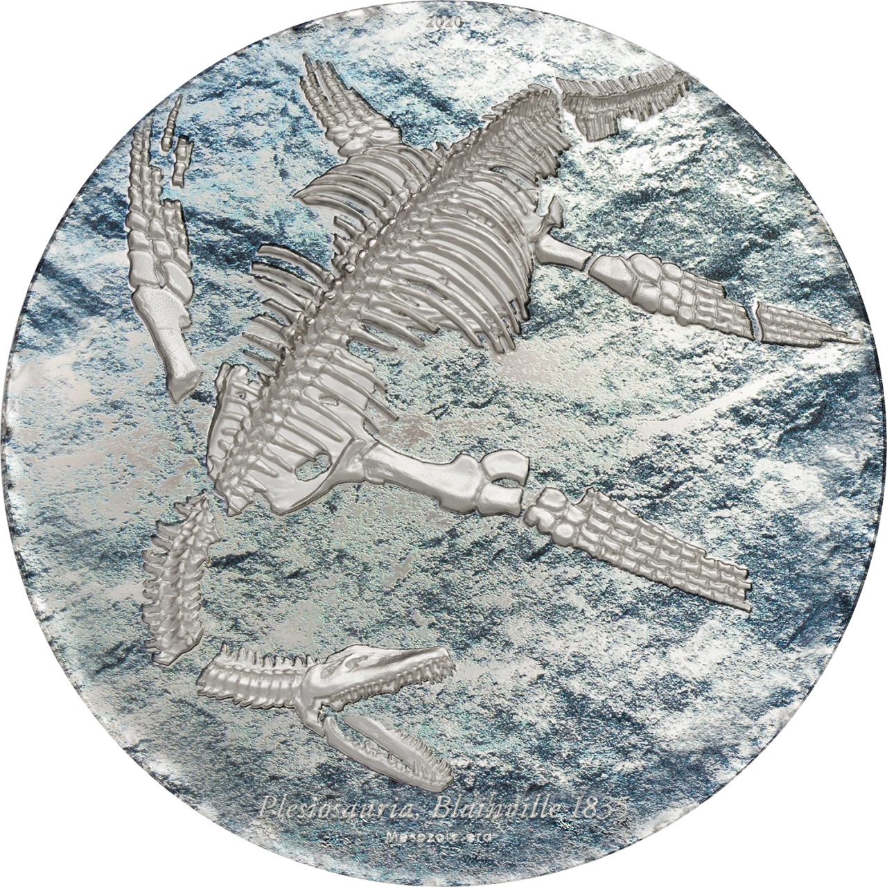 Plesiosauria