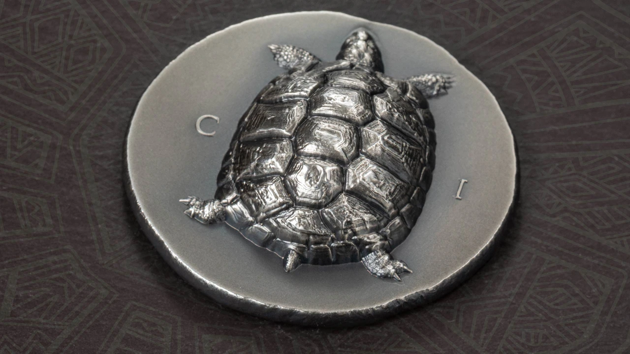 Tortoise