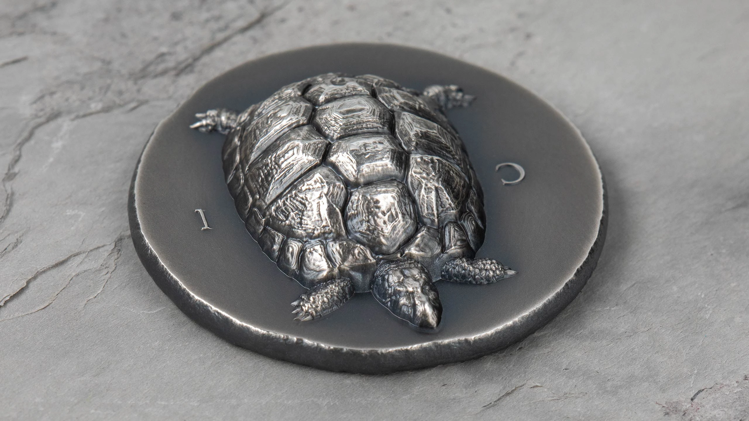 Tortoise