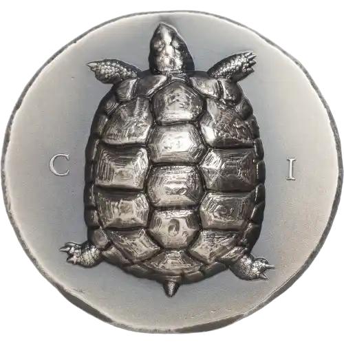 Tortoise