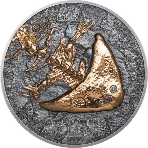 Diplocaulus