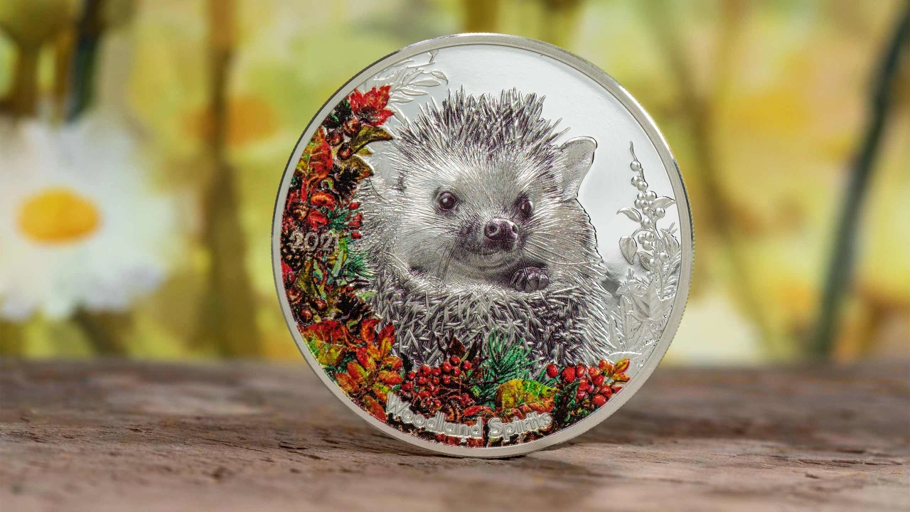 Woodland Spirits – Hedgehog