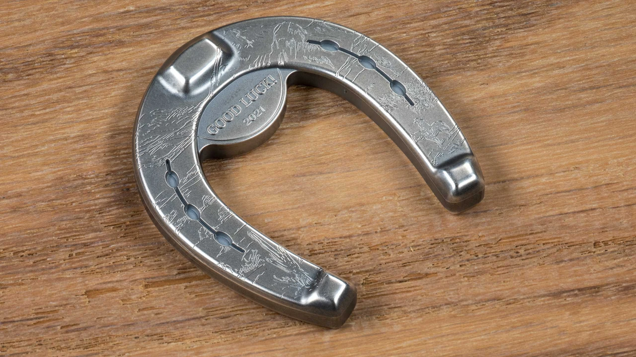 Lucky Horseshoe