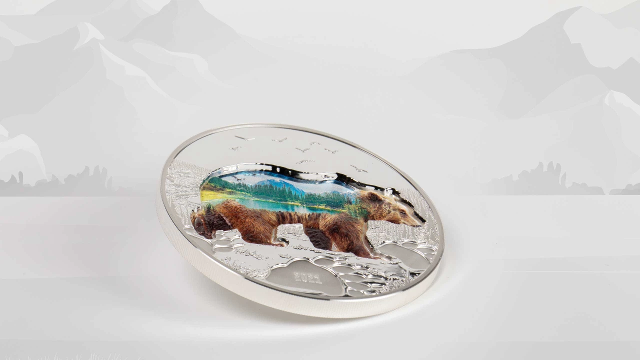 Into the Wild – Bear