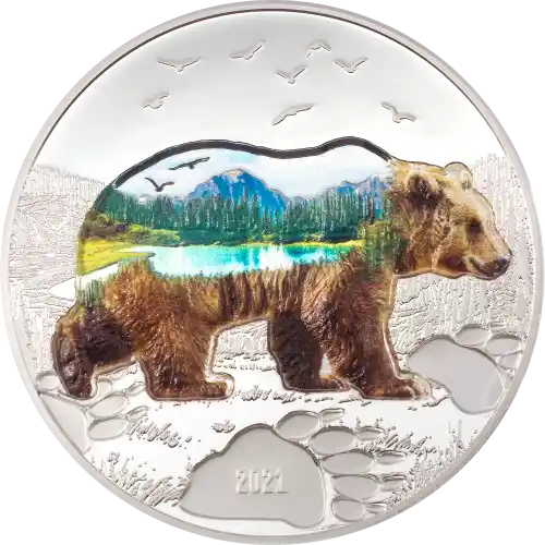 Bear