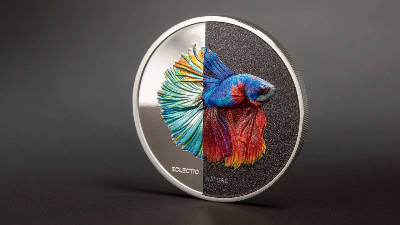 Eclectic Nature – Fighting Fish