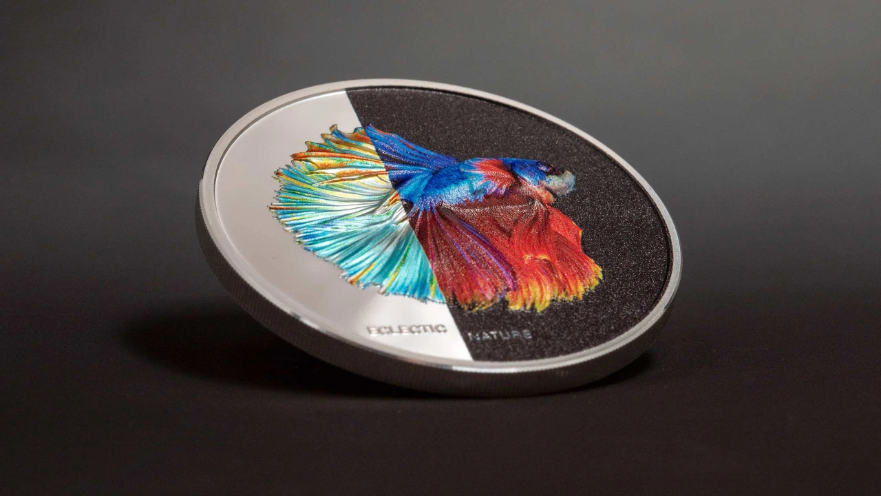 Eclectic Nature – Fighting Fish