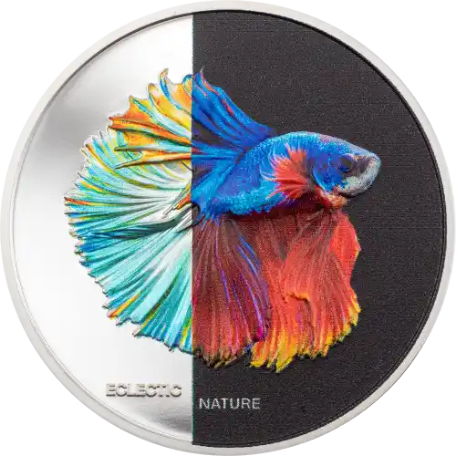 Fighting Fish