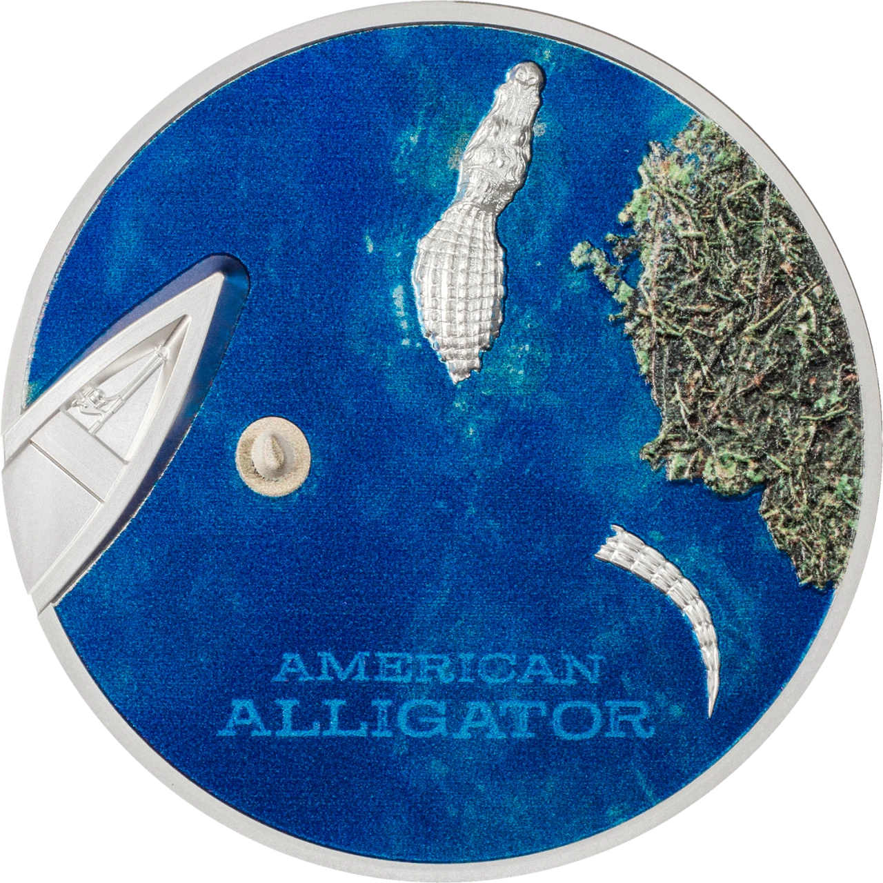 American Alligator