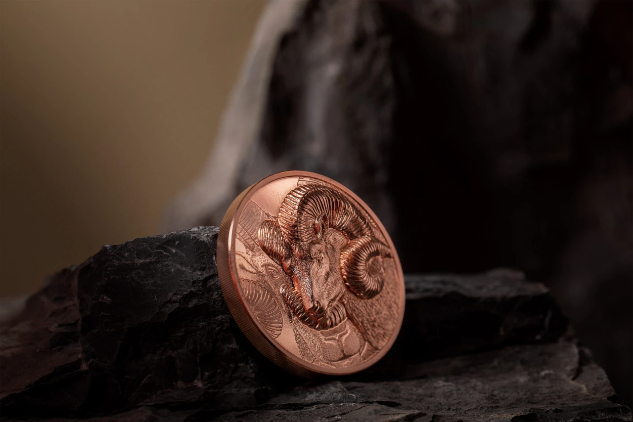 Magnificent Argali – Copper