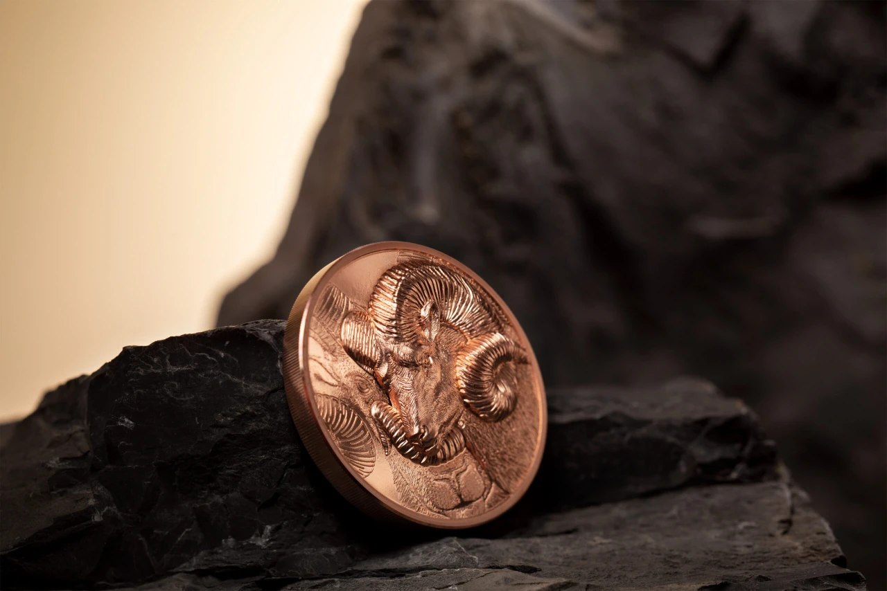 Magnificent Argali – Copper