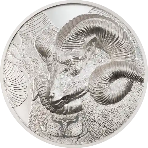 Magnificent Argali