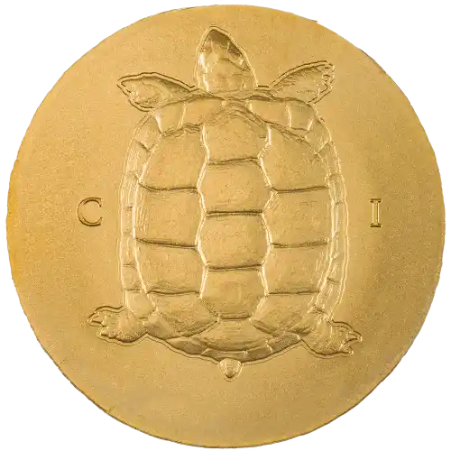 Tortoise