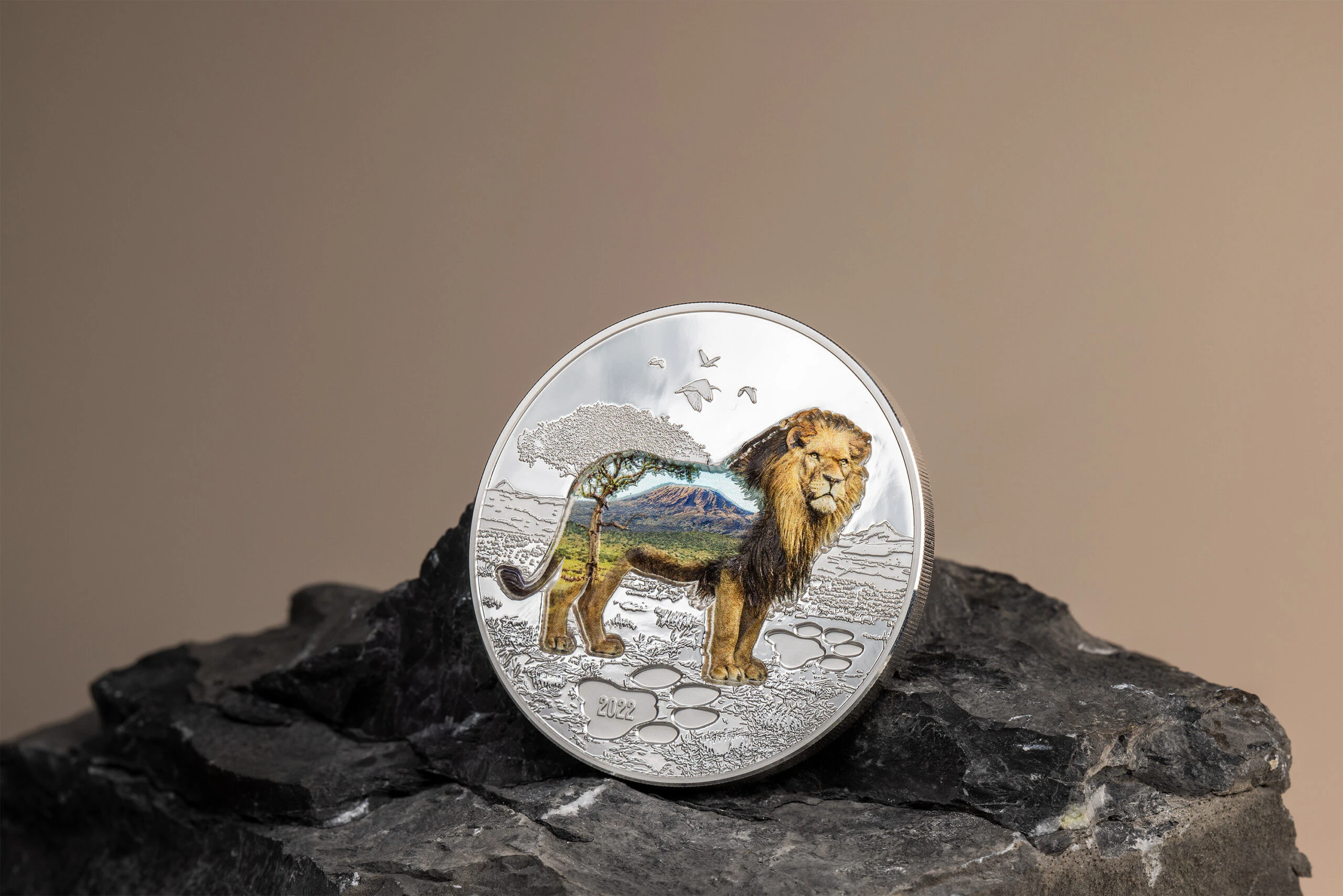Lion