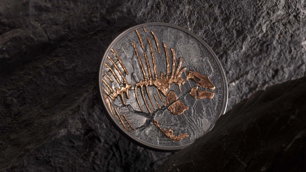 Synapsida – Evolution of Life