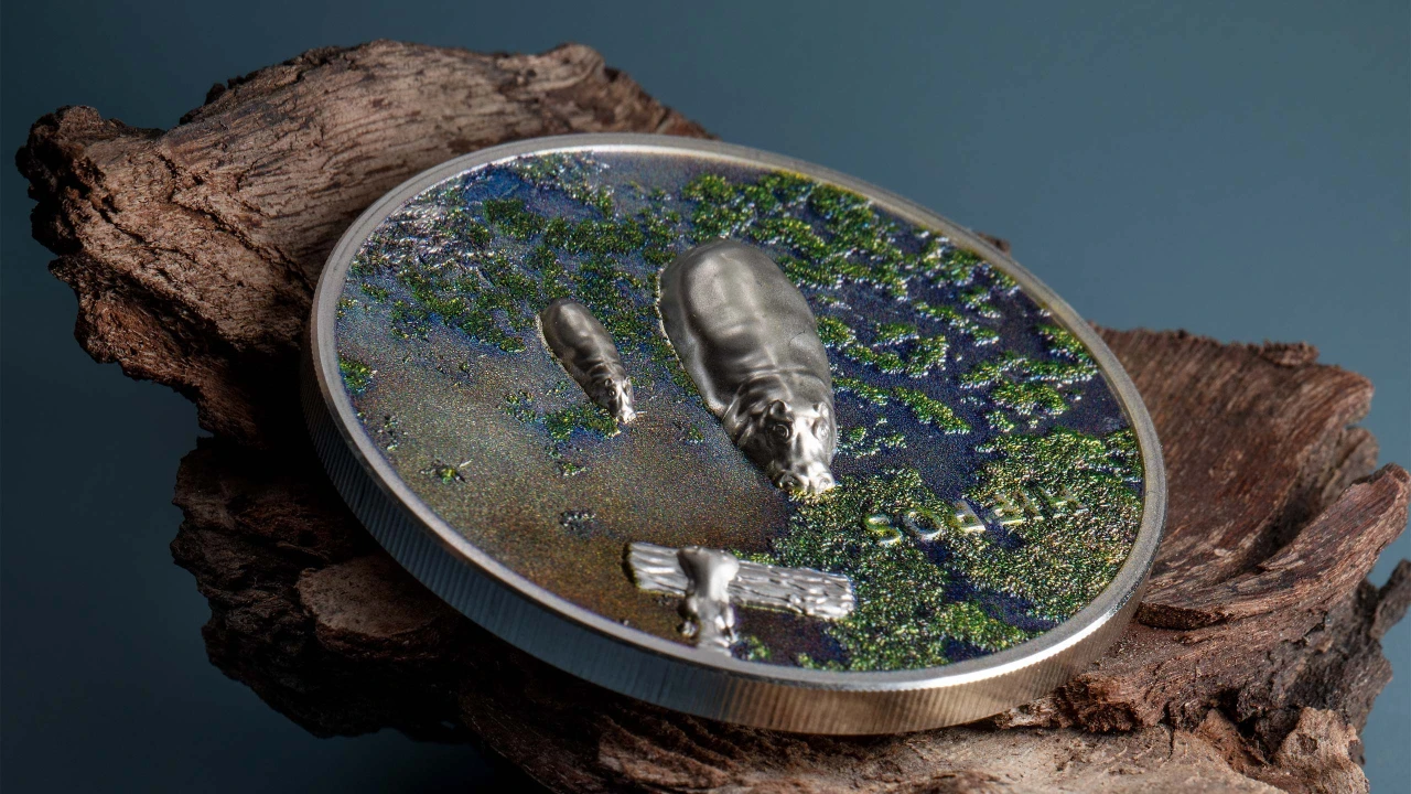 Split Views – Hippos