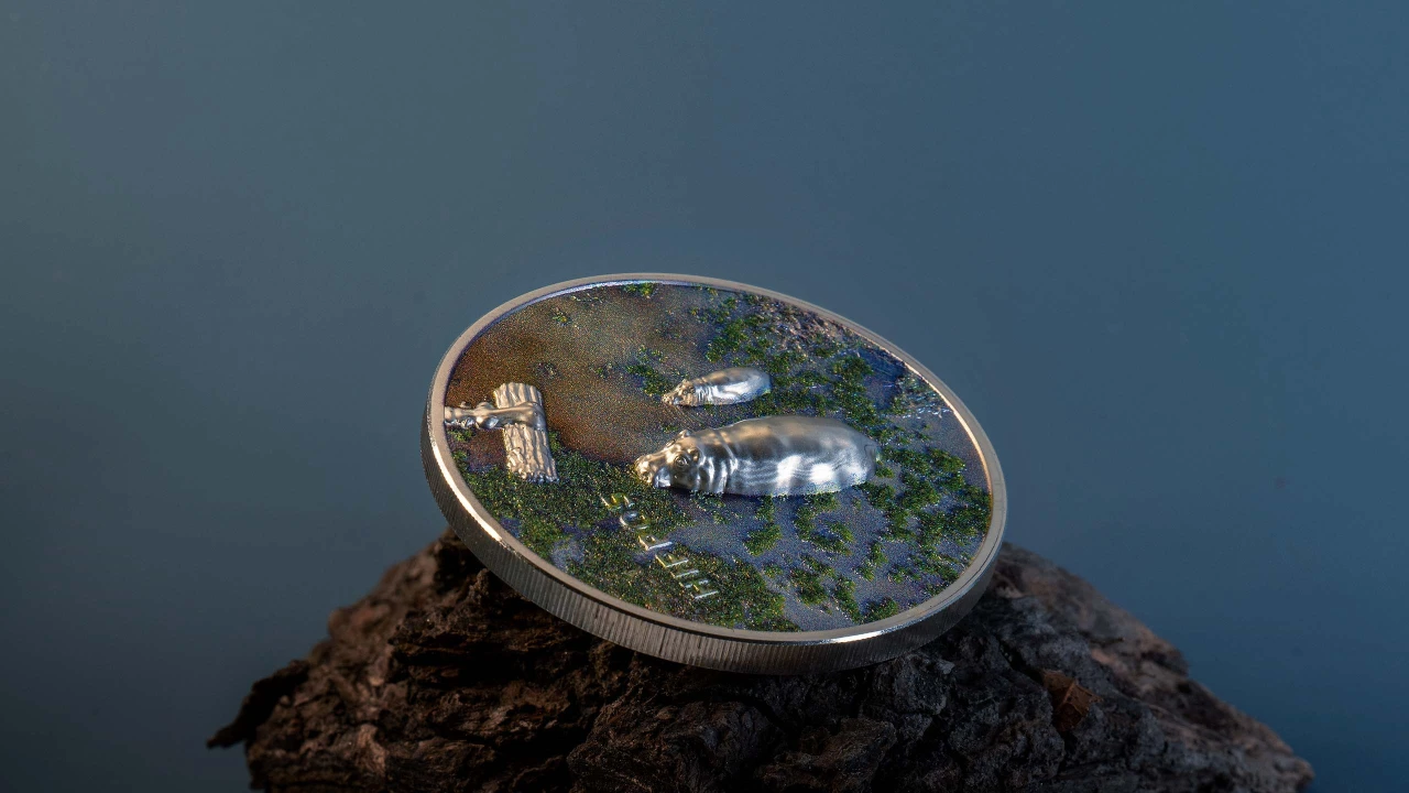 Split Views – Hippos