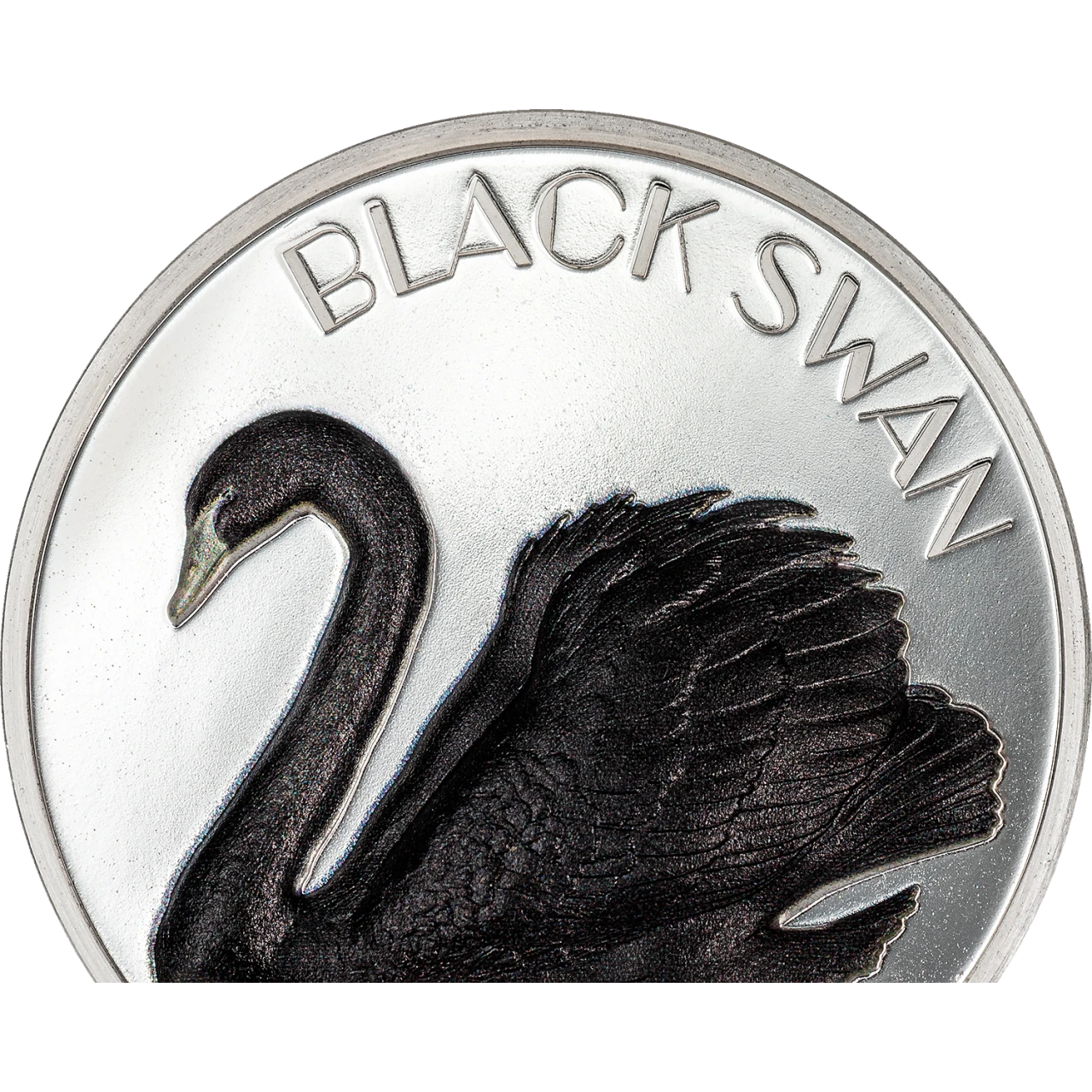 Black Swan