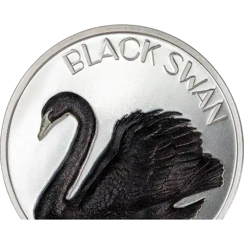 Black Swan