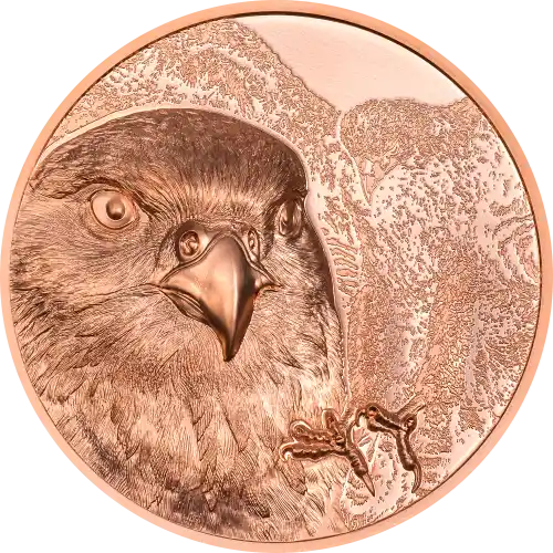 Mongolian Falcon
