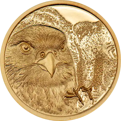 Mongolian Falcon
