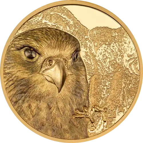 Mongolian Falcon