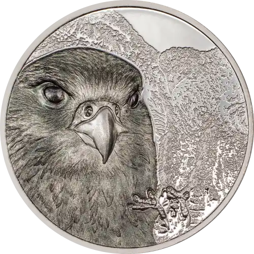 Mongolian Falcon