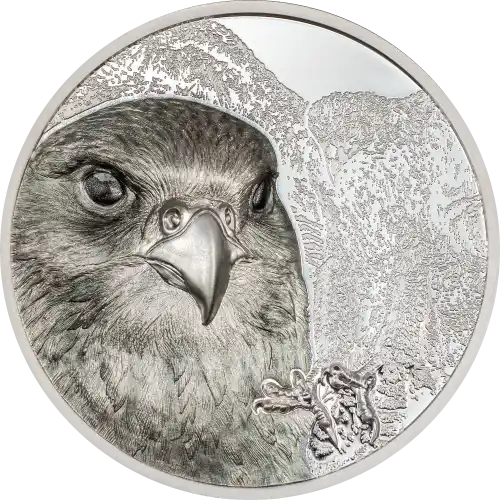 Mongolian Falcon
