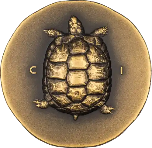 Tortoise