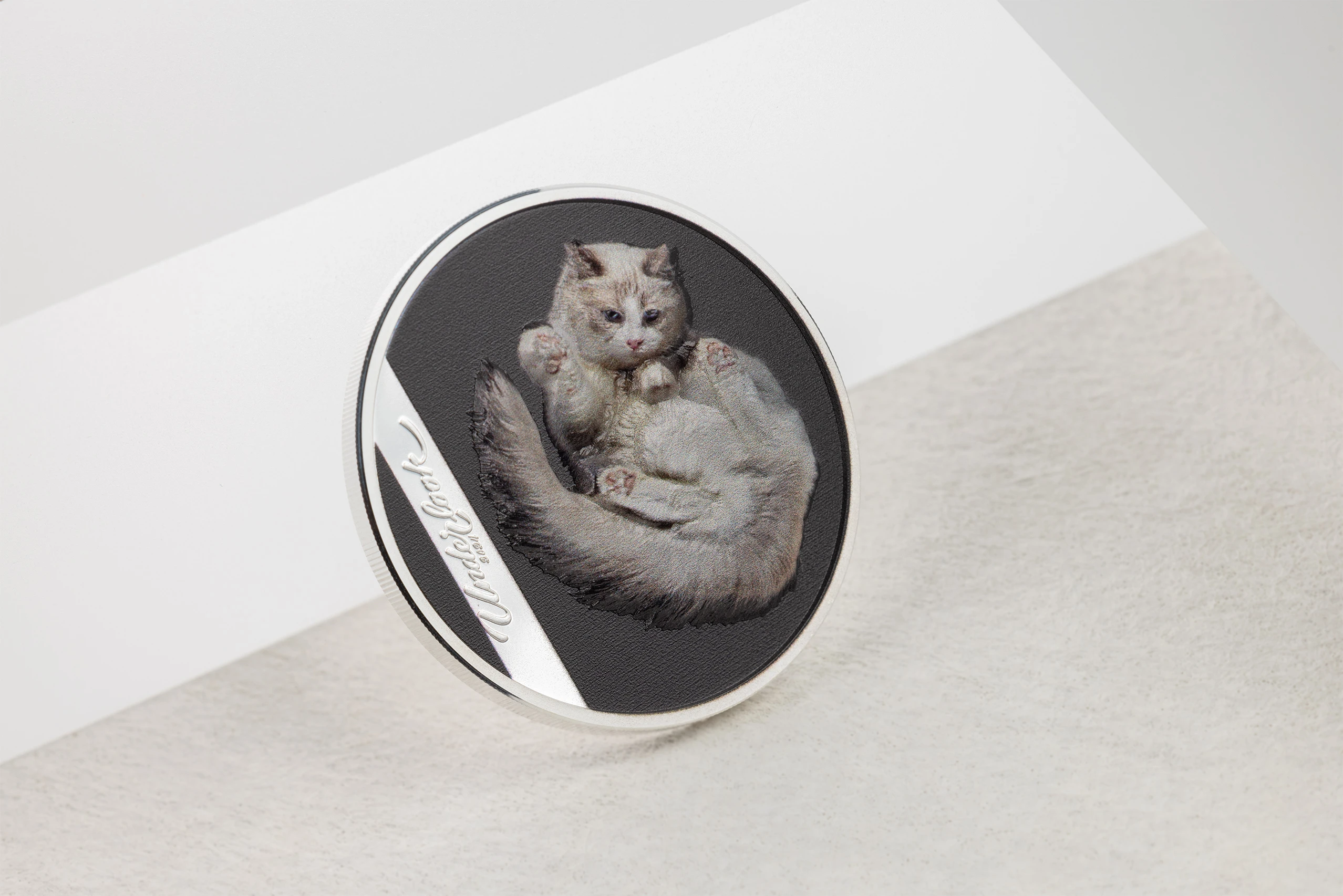 Underlook - Undercat