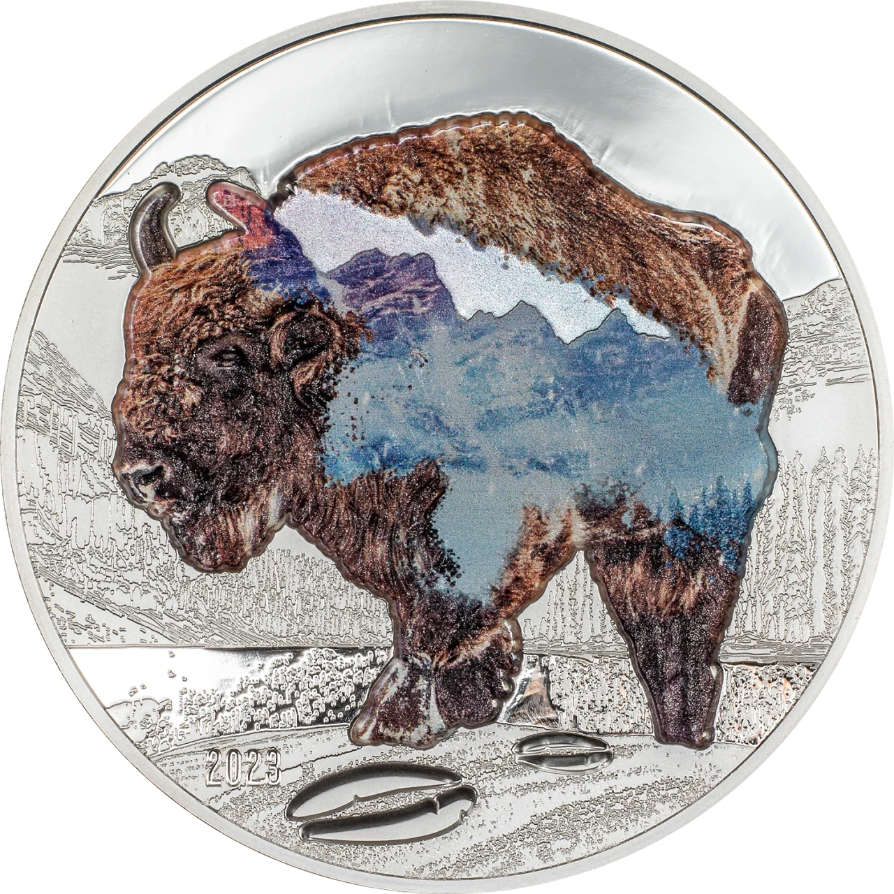 Bison