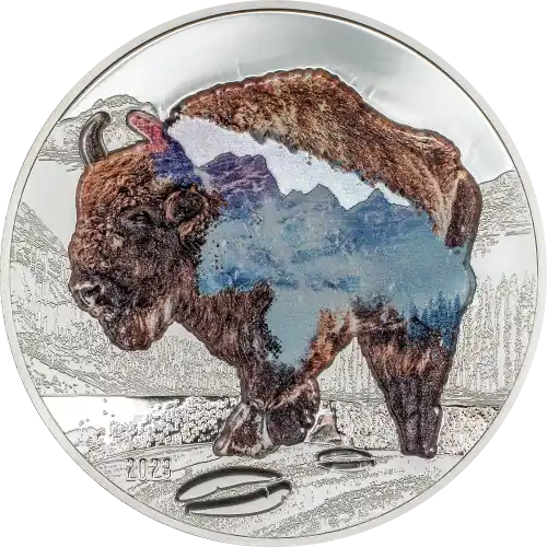 Bison