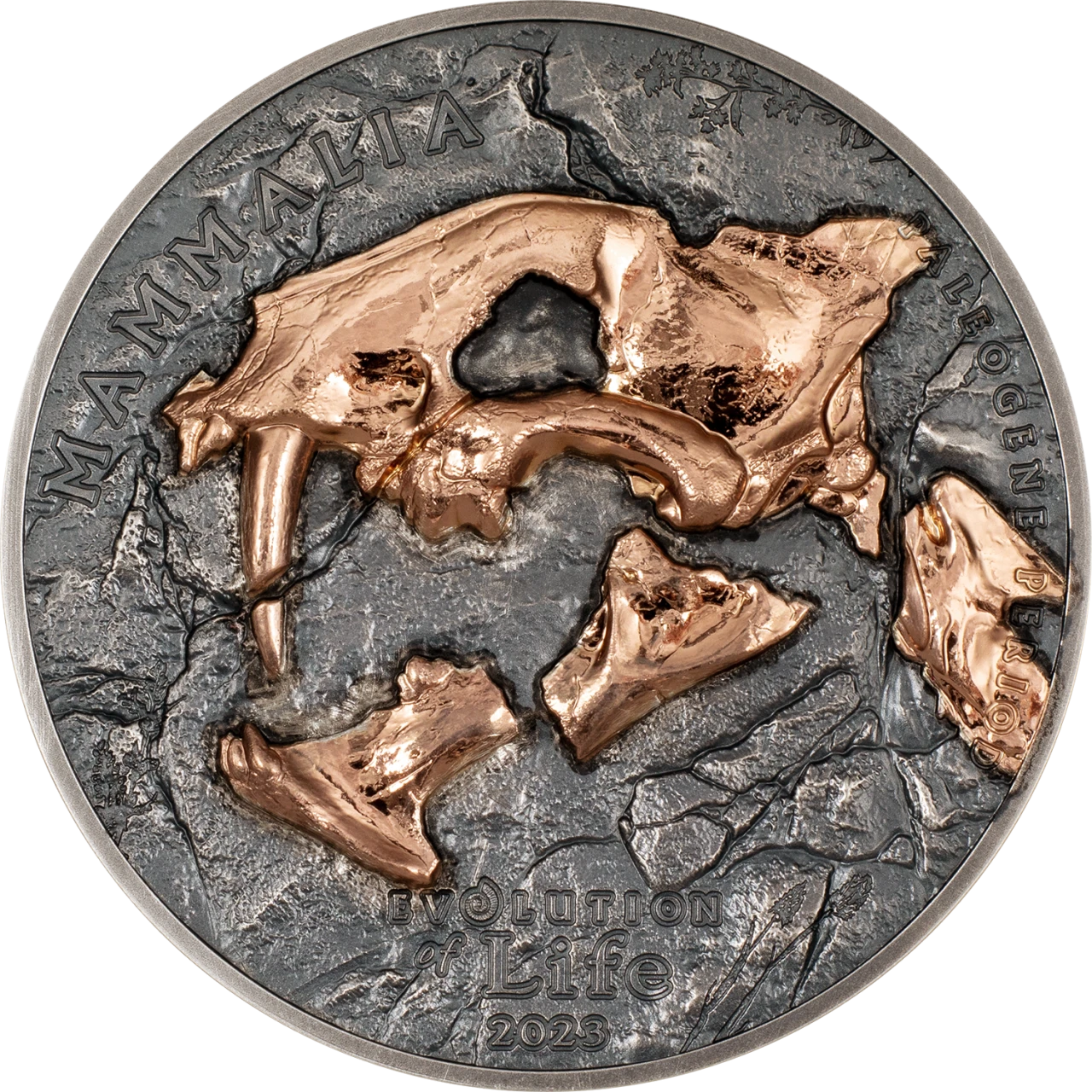Nimravidae