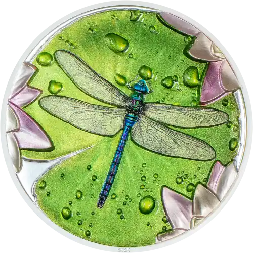 Lily Pad - Dragonfly