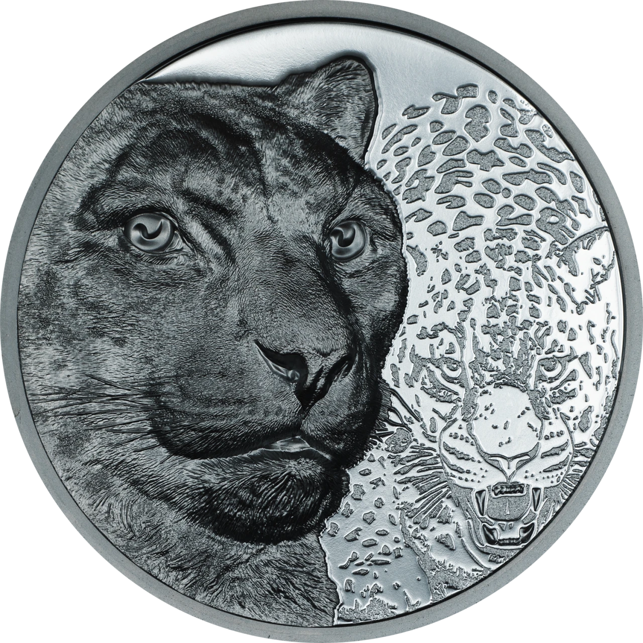 Snow Leopard