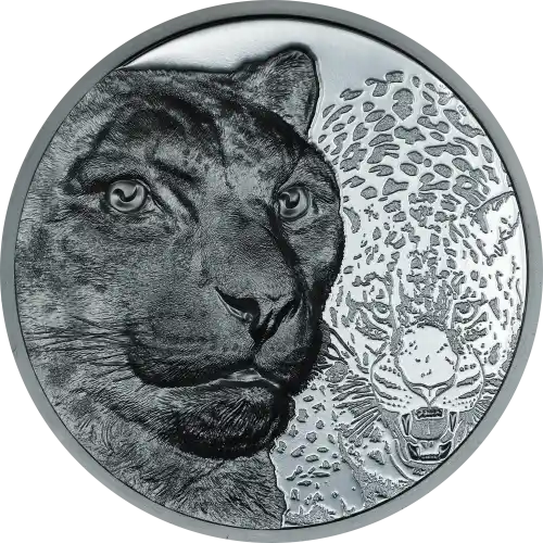 Snow Leopard
