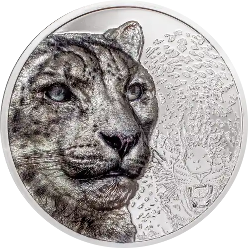 Snow Leopard