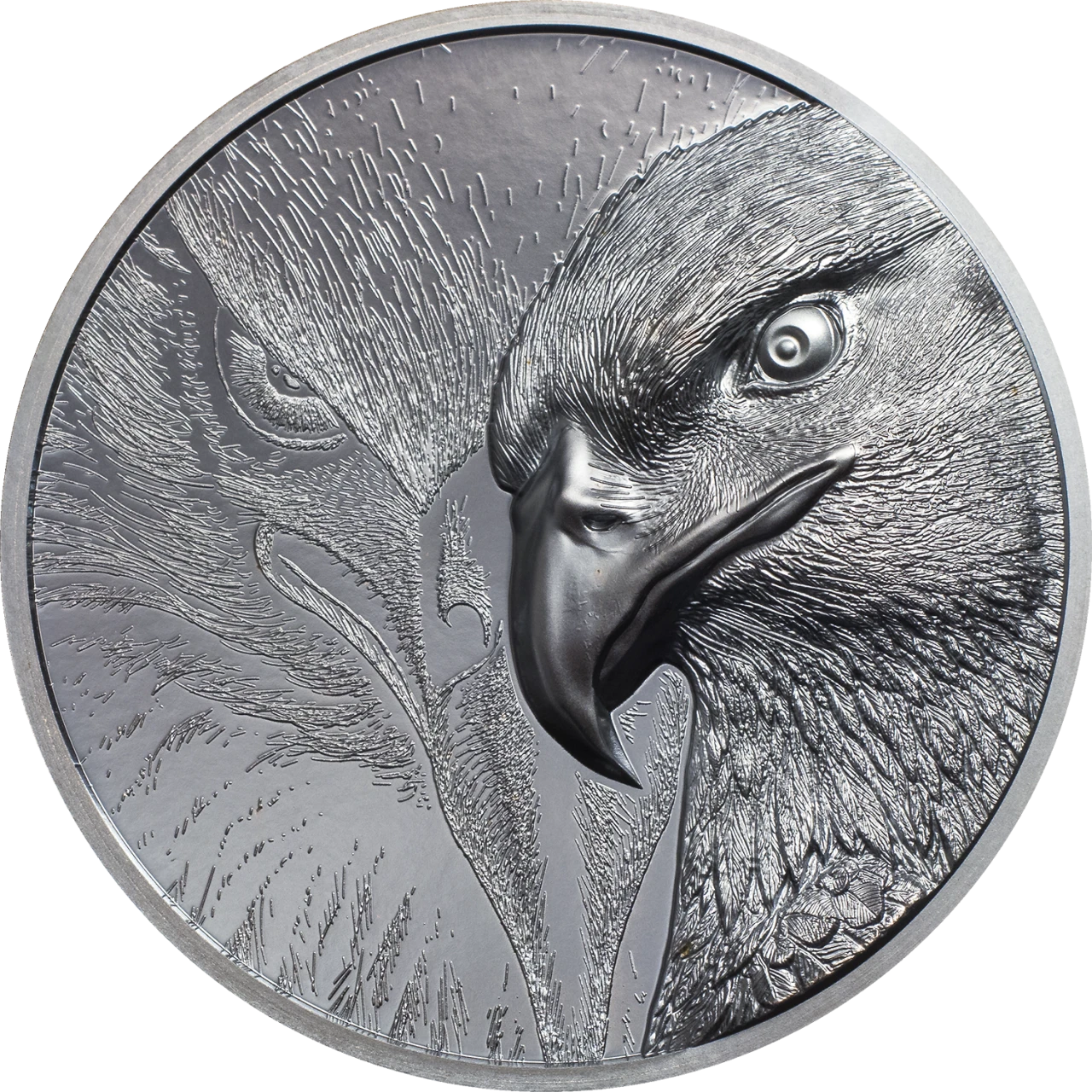 Majestic Eagle | CIT Coin Invest
