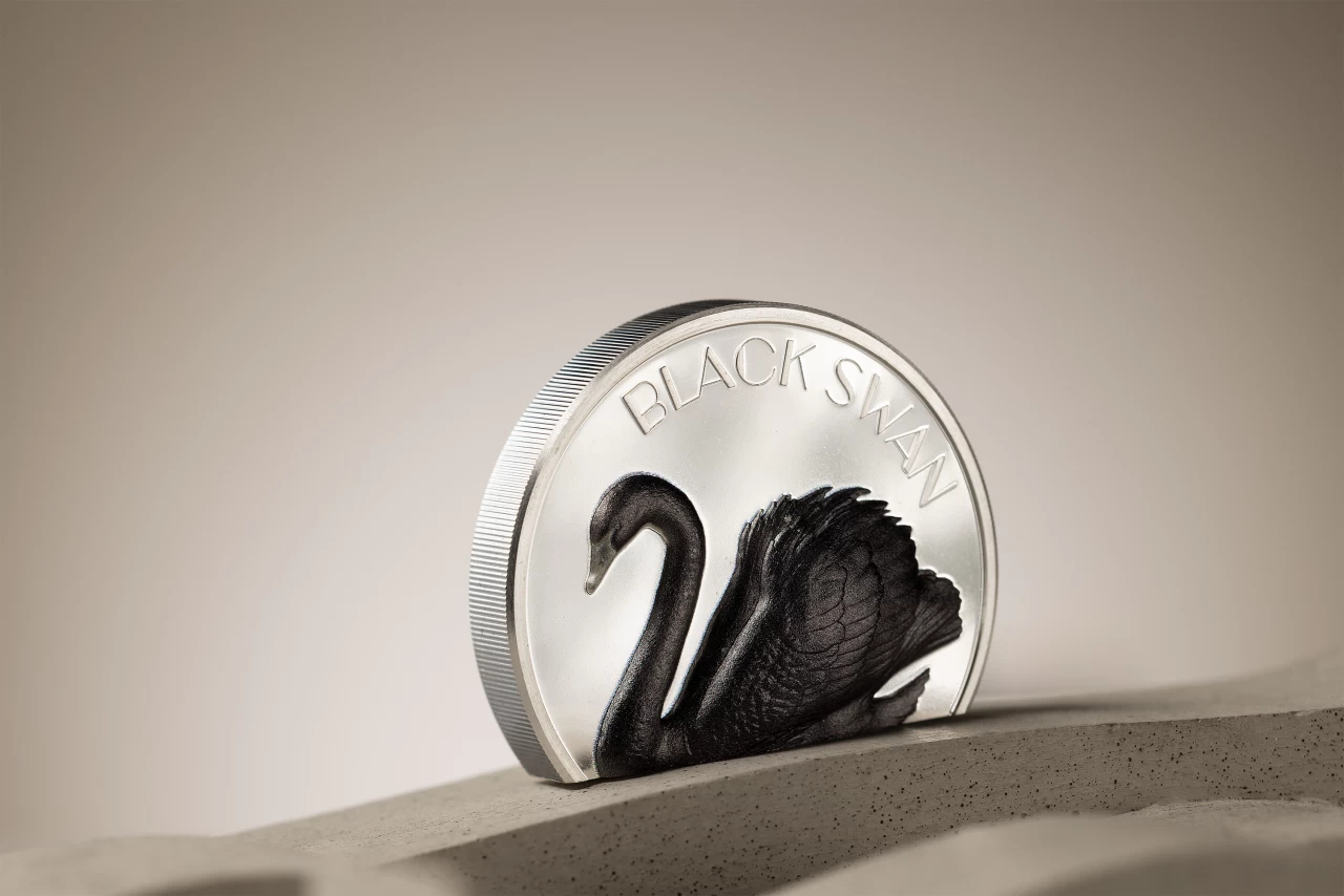 <p>Have you ever seen a black swan?</p>