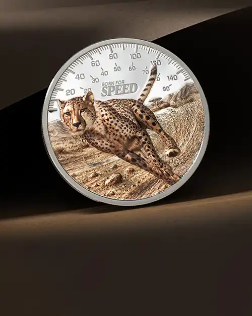 Cheetah