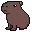 I am a capybara