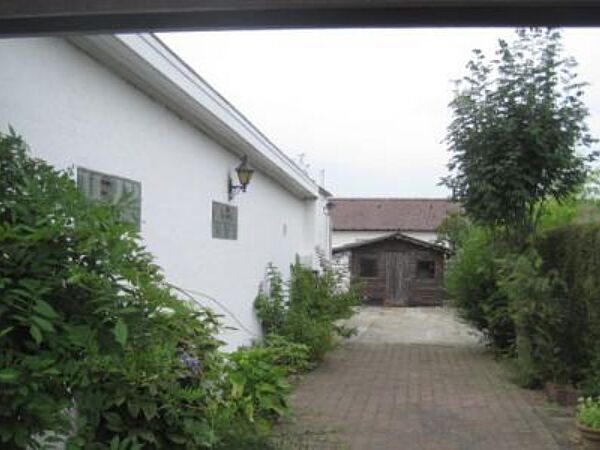 IMG 4395