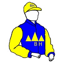 Logo Coudelaria Beagá