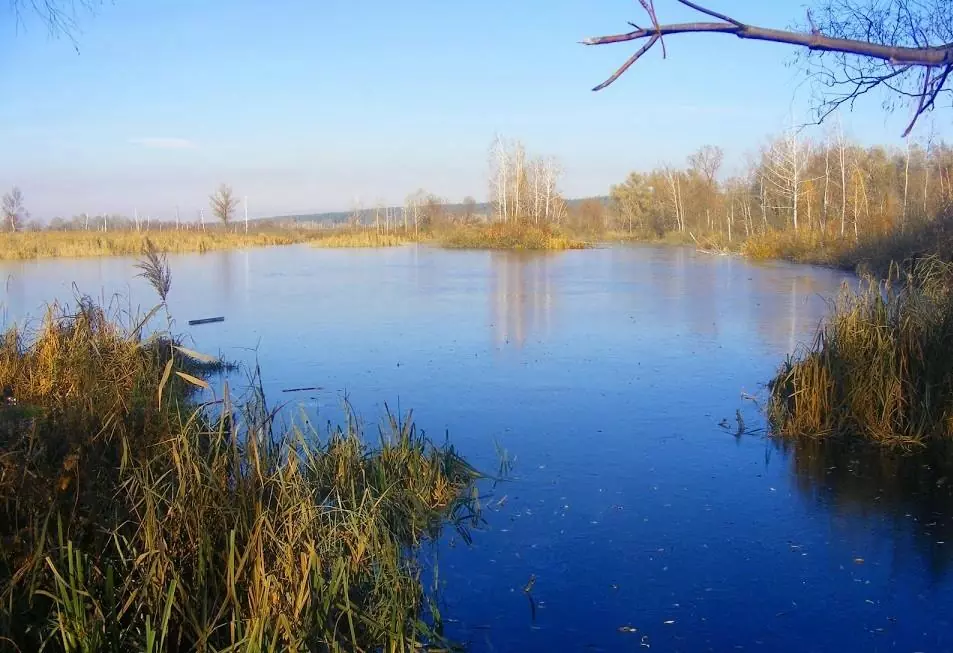 Продаж ділянок Пухівка