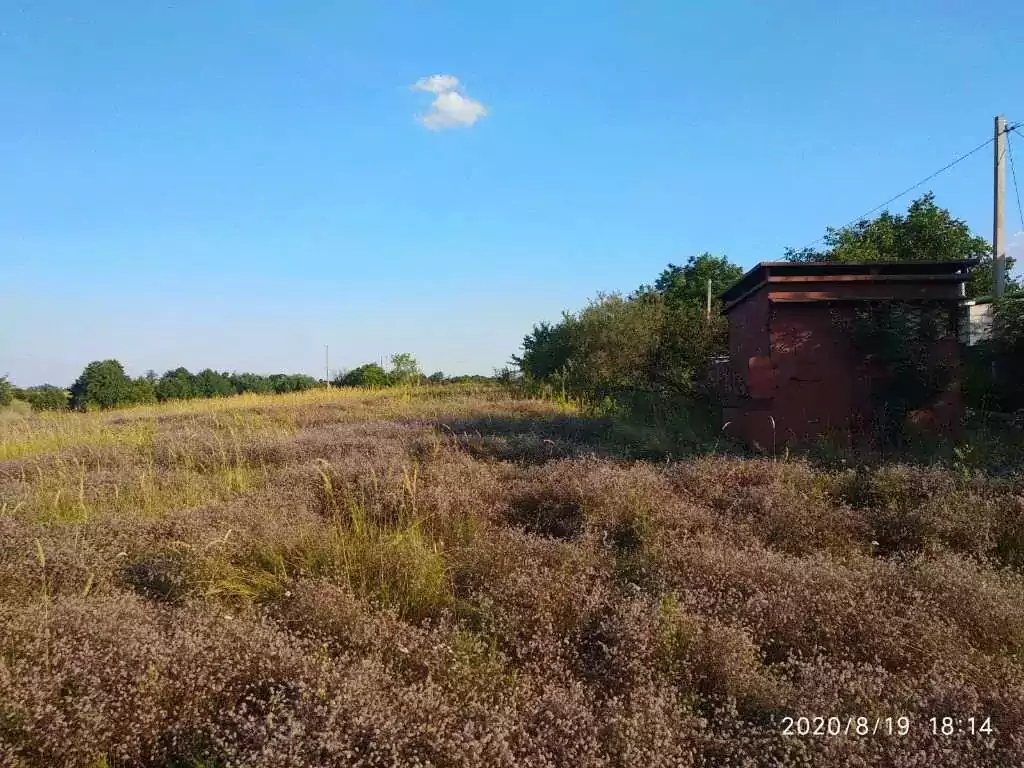 Продаж будинків Велика Снітинка