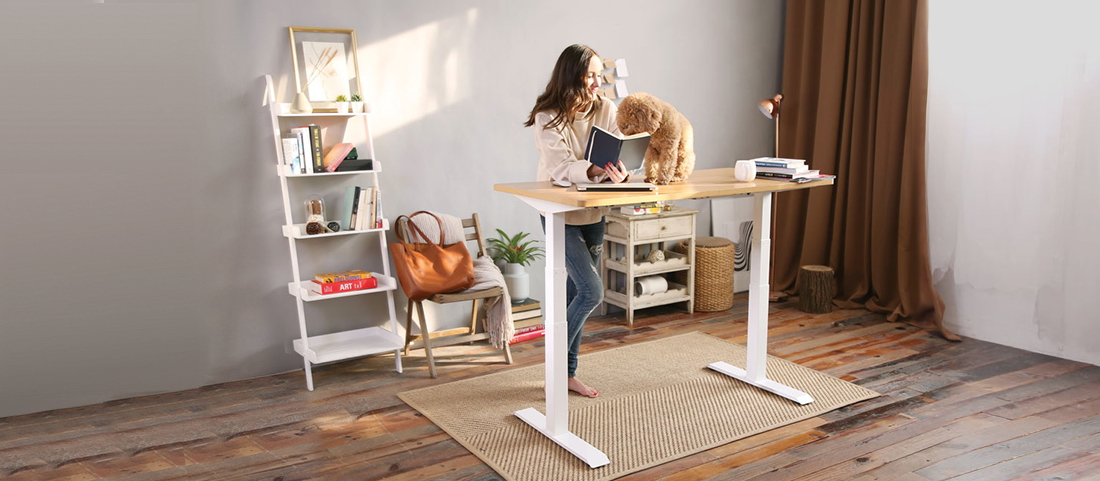 Tips to have your flexispot desk at the best price