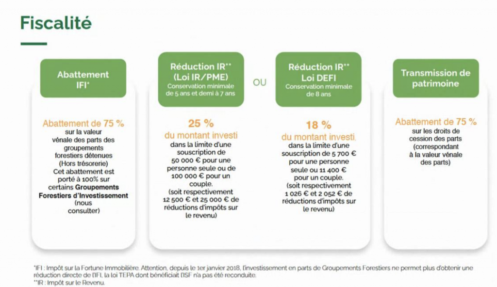 GFI : 5 critères pour investir en forêt