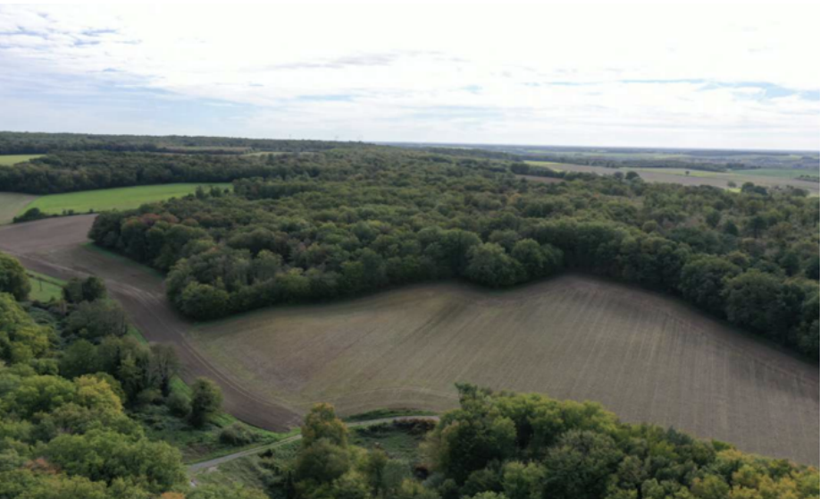 Forêts : Vatel Capital acquiert le Bois de Paray pour le GFI Vatel